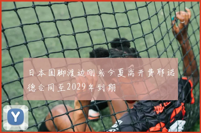 日本国脚渡边刚或今夏离开费耶诺德合同至2029年到期
