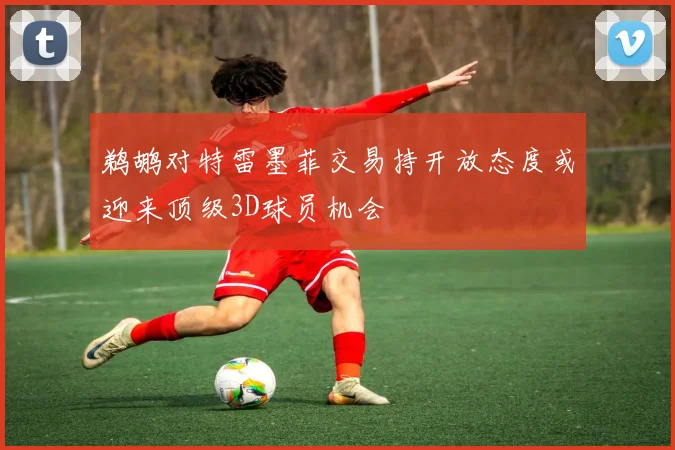鹈鹕对特雷墨菲交易持开放态度或迎来顶级3D球员机会