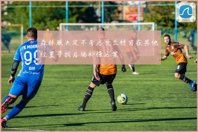 森林狼决定不考虑莫兰特将在其他位置寻找后场补强方案